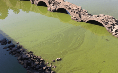 CyberHAB: using data cloud services to manage harmful algae blooms.