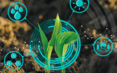 IBISA crop loss assessment stress test.
